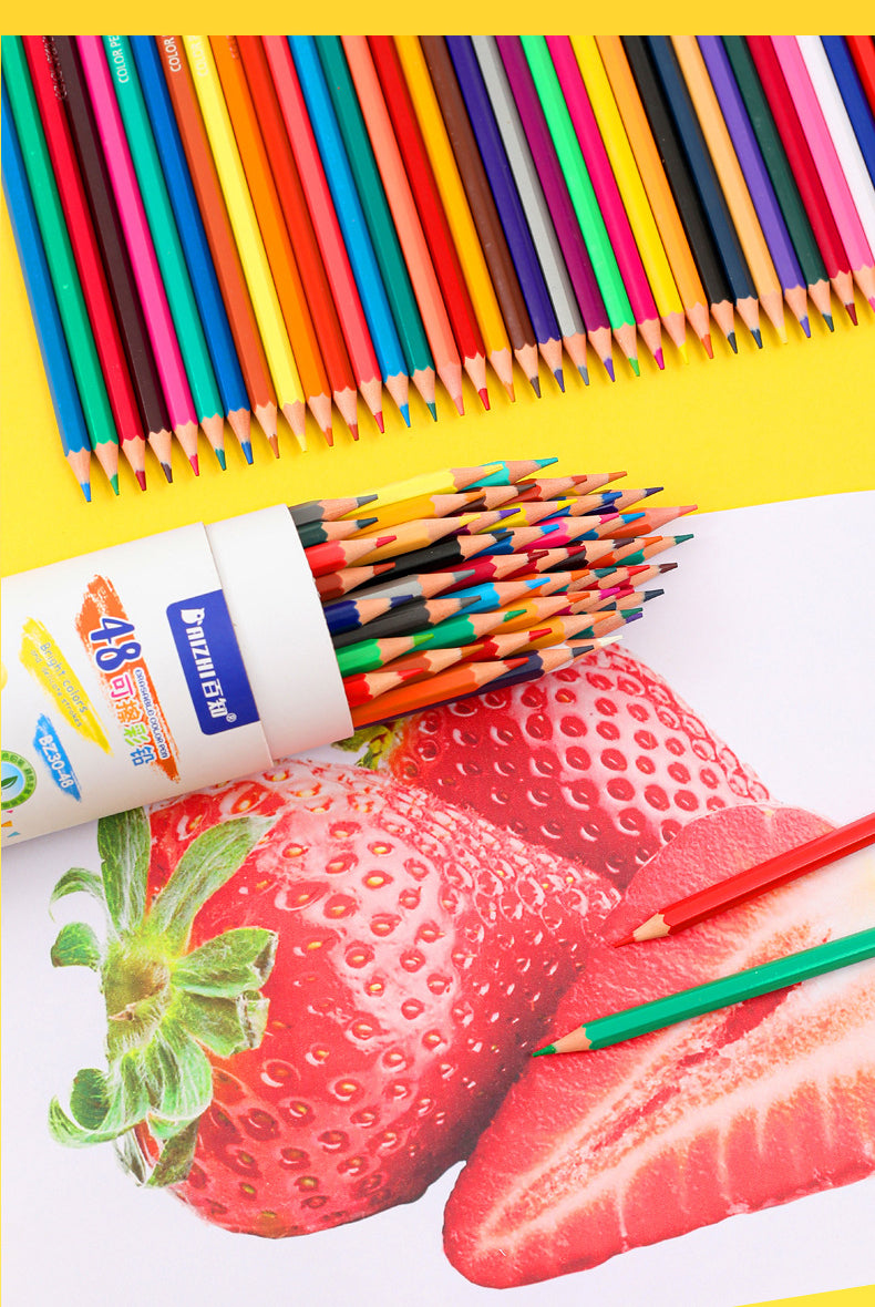 Erable 48 Color Colored Pencils