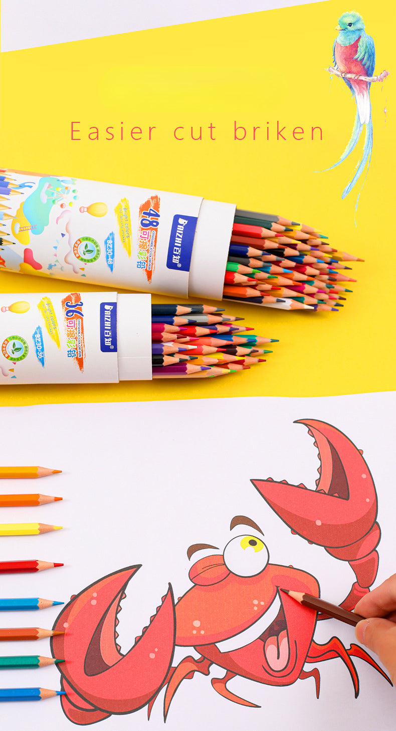 Erable 48 Color Colored Pencils