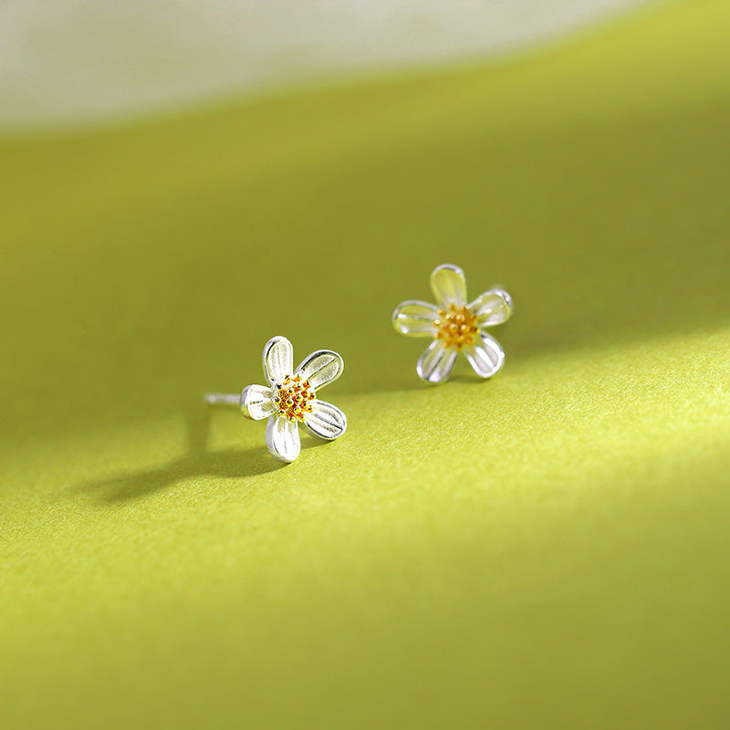 2024 new flowers ear ladies trend simple niche design sense small daisy earrings earrings fashion hundred with daily
