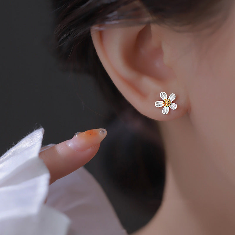 2024 new flowers ear ladies trend simple niche design sense small daisy earrings earrings fashion hundred with daily