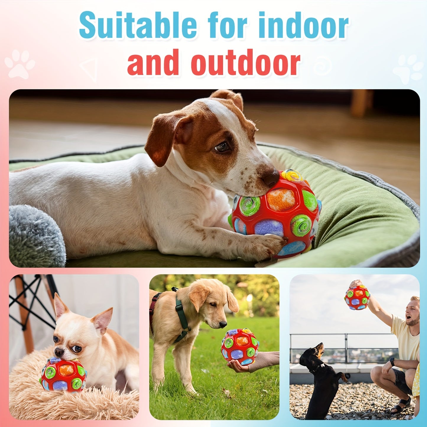 Sniffing Ball Dog Feeder