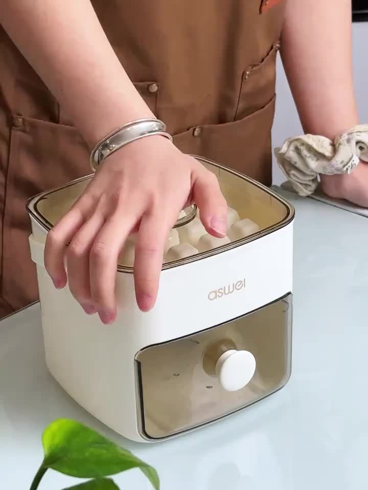 48-Cube Ice Maker with Easy-Press Lid
