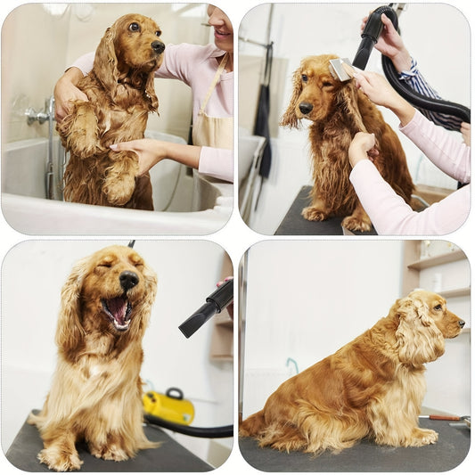 High Velocity 2800W Dog Hair Dryer with Nozzles