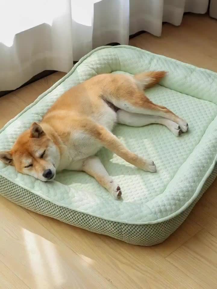 Cooling Ice Fabric Pet Bed for Small & Medium Dogs & Cats - Removable Washable Summer Cooling Pad, Breathable Non-Electric Comfort for Hot Weather, Indoor Pet Rest | Cozy Pet Bed | Functional Pet Accessory